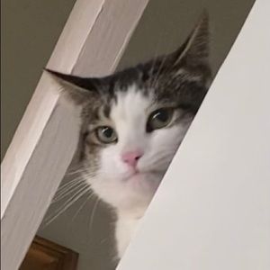 Meet your Posher, Natalia